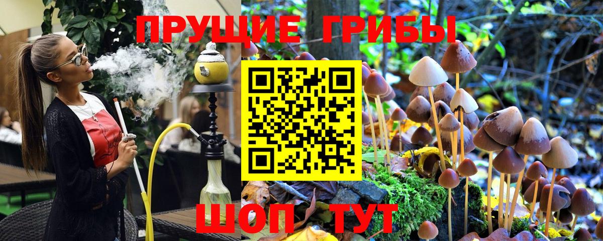 Псилоцибиновые грибы Psilocybe  Минусинск 