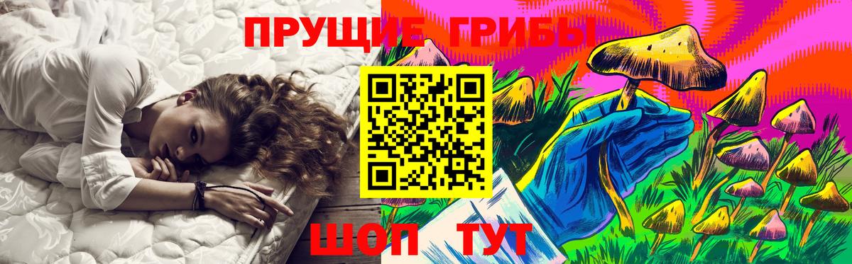 Псилоцибиновые грибы прущие грибы Минусинск